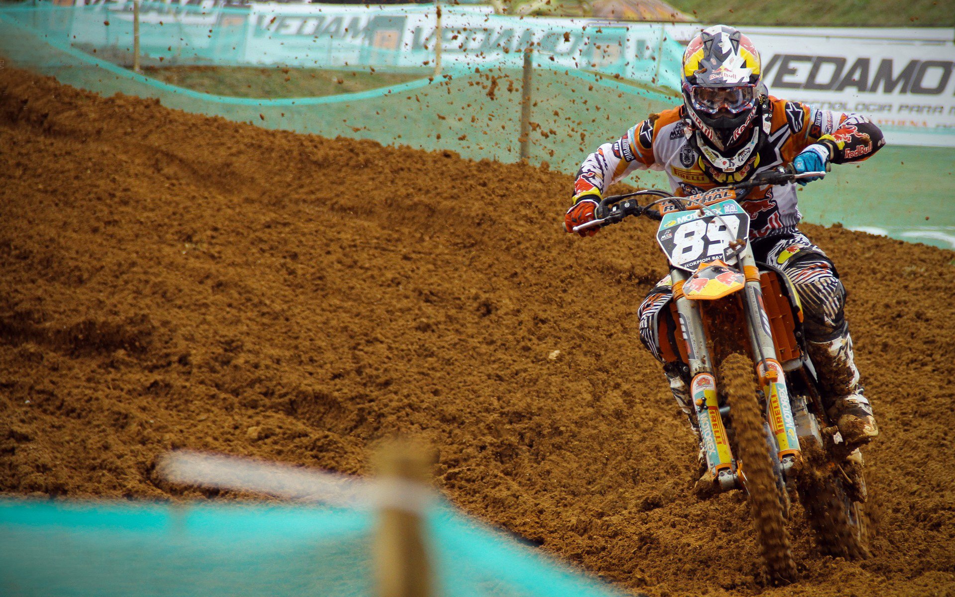 仰泳大战美队领先毫厘之间，仰泳比赛视频欣赏